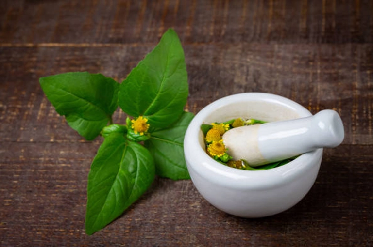 acmella-olaracea-extract-glow-season